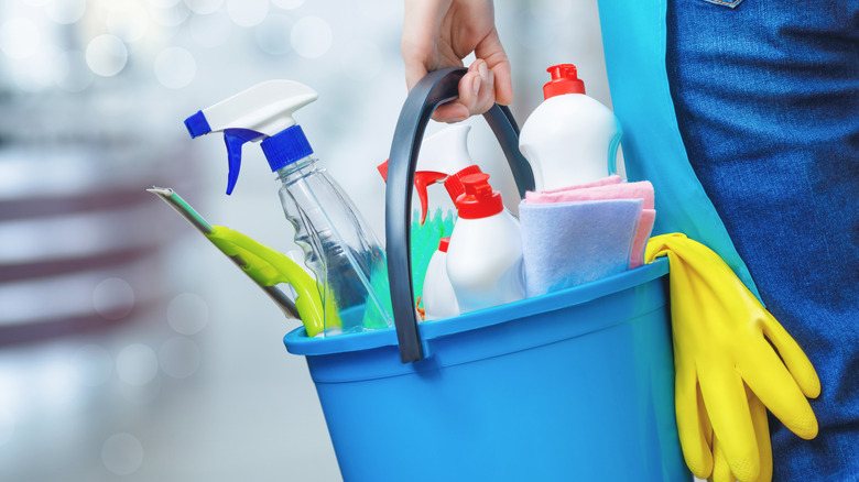 Person holding cleaning products