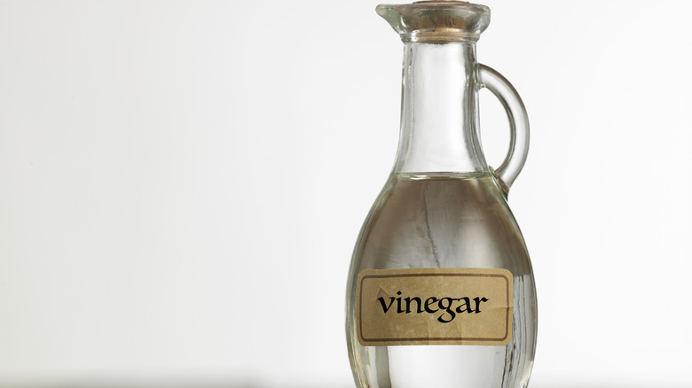 white vinegar in bottle