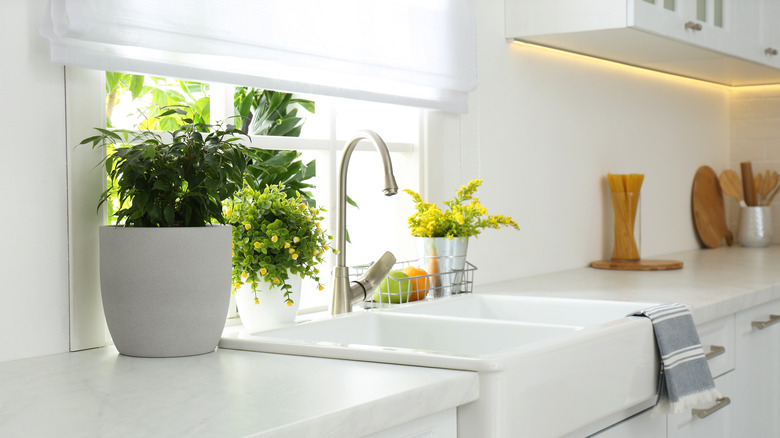 kitchen sink
