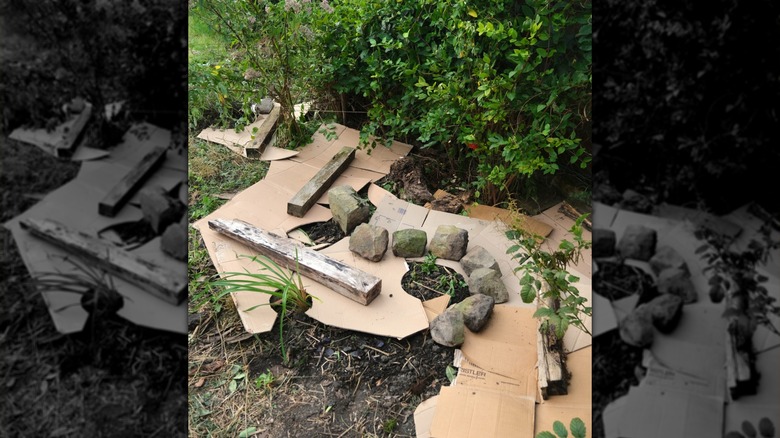 Cardboard is used in the garden to choke out weeds.