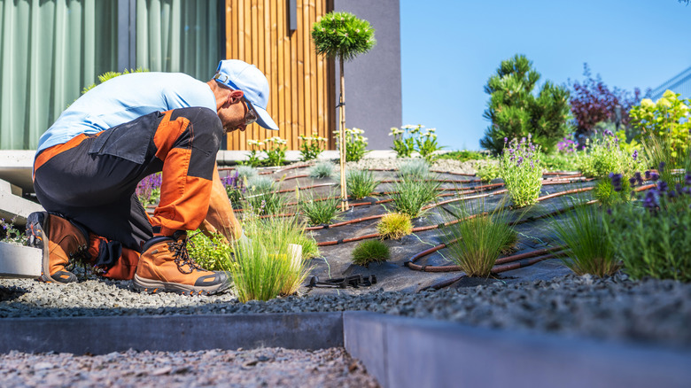 A man works on a backyard gravel landscape.