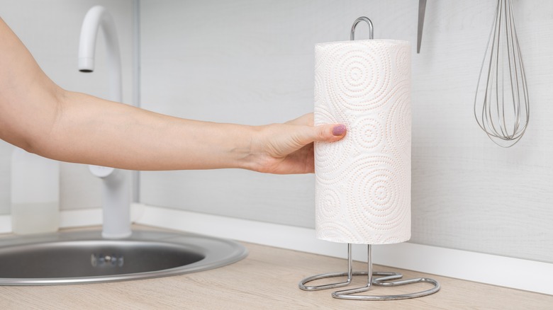 Paper towel roll on holder