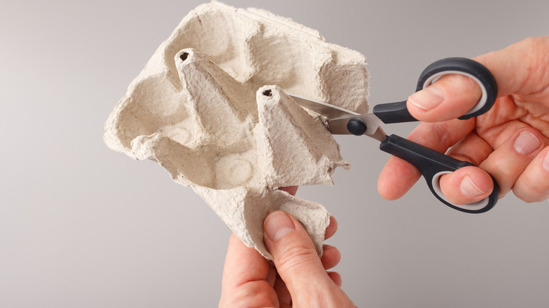 Hands cutting out an egg carton.