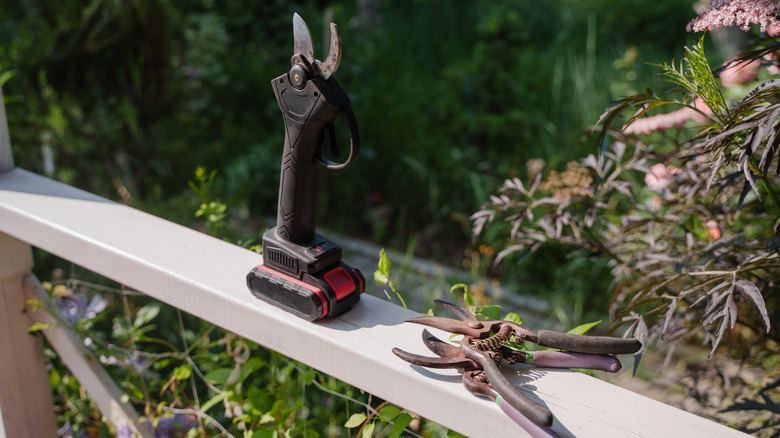 Pruning tools sit on the top rail of a wooden deck fence.