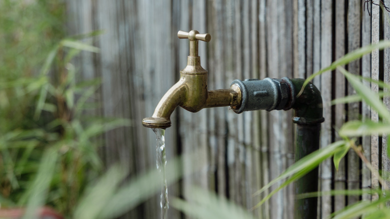A backyard spigot with water running from it
