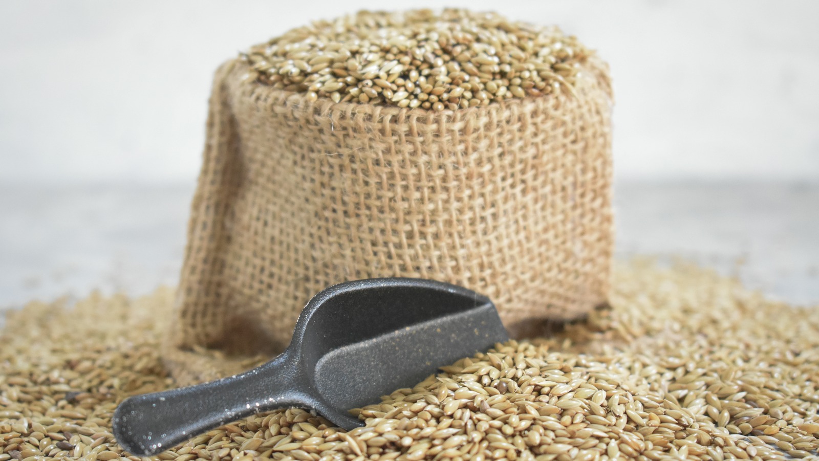 How To Keep Moths Out Of Your Birdseed