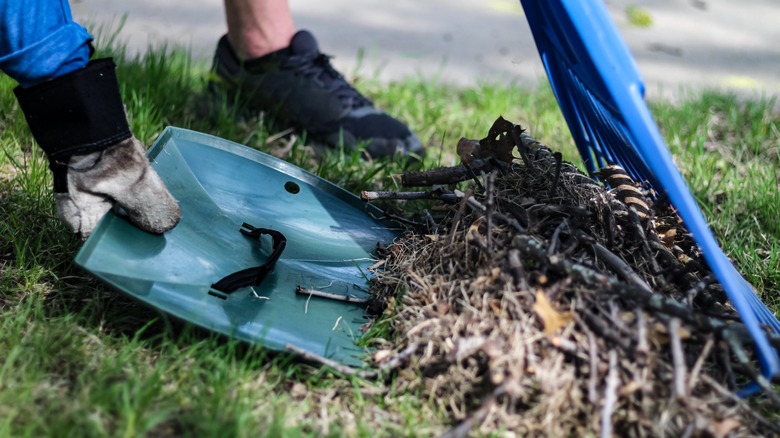 A man cleaning up garden debris with a blue rake