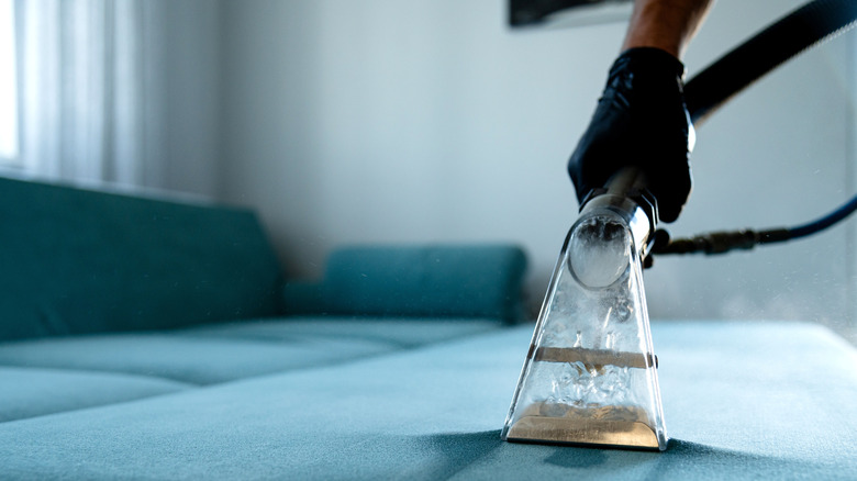 Person's hand using upholstery cleaning machine on blue couch cushion