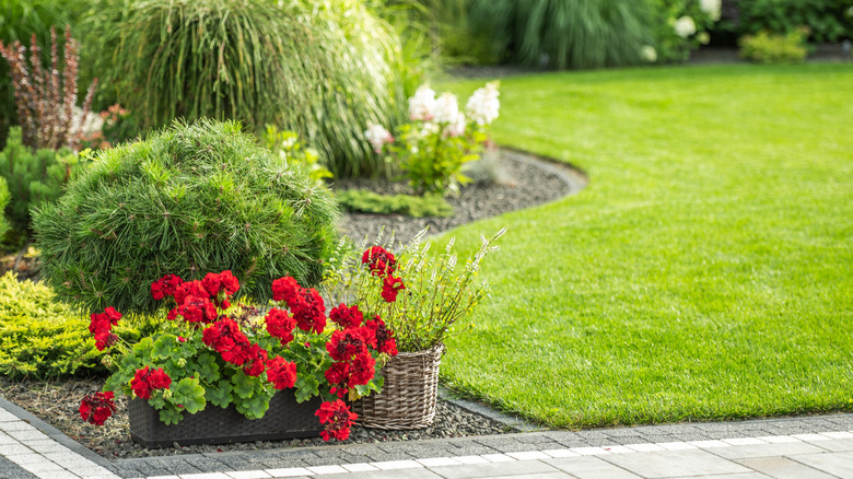 Garden border with patio.