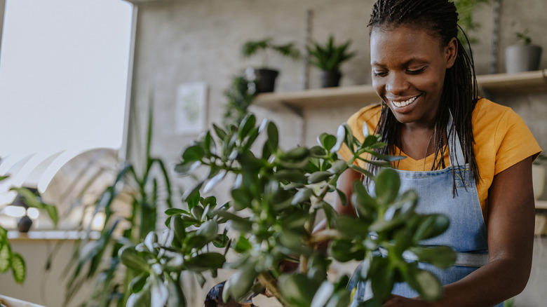 Woman tending to house plants