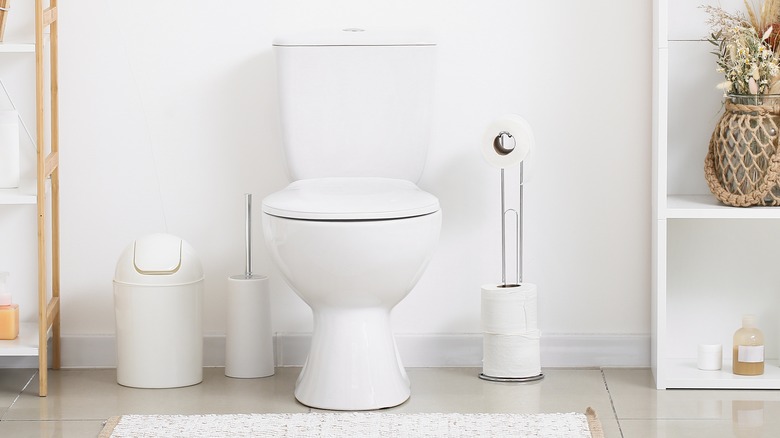 bathroom with toilet brush 