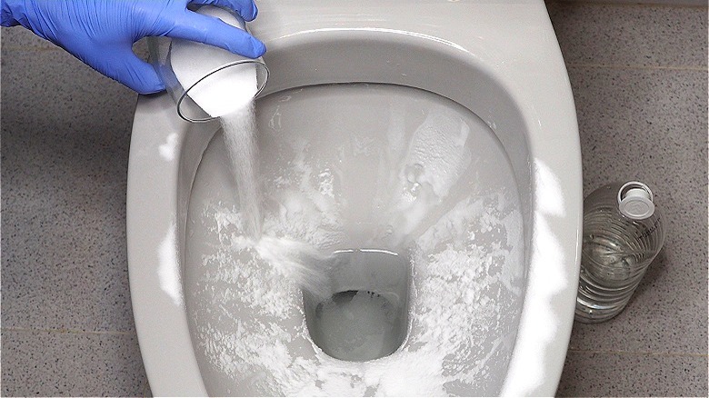 pouring powder in toilet