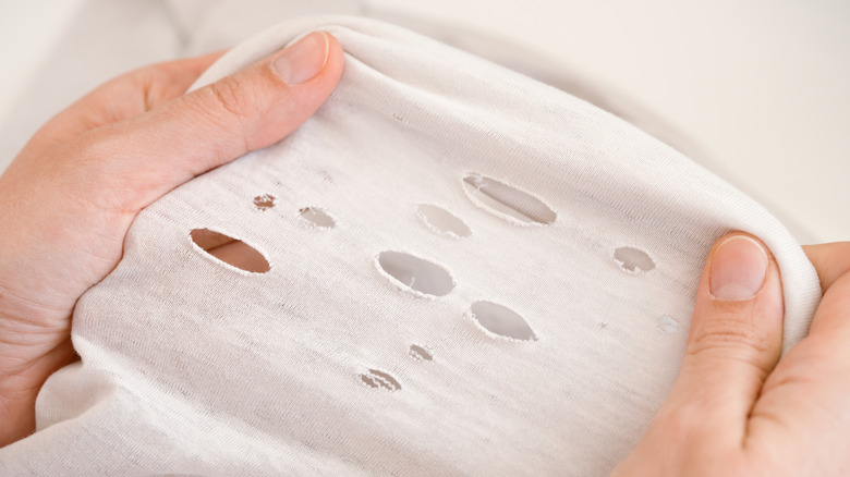 person holding ripped white shirt