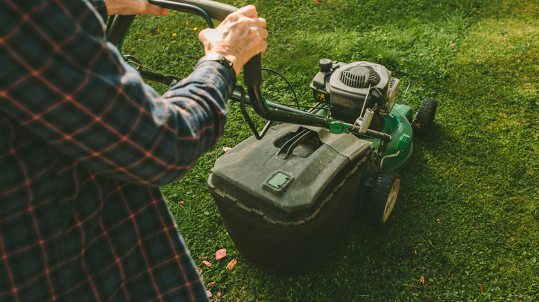 Person mowing the lawn