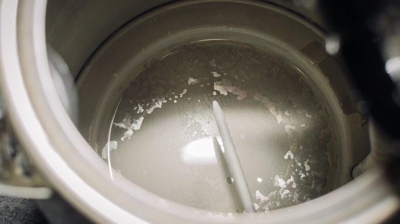 You're Probably Over-Cleaning Your Electric Kettle (And How To Do It ...
