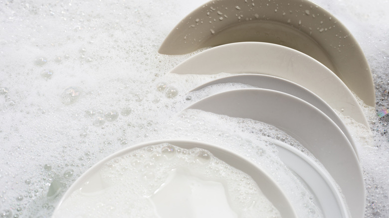 Plates soaking in water