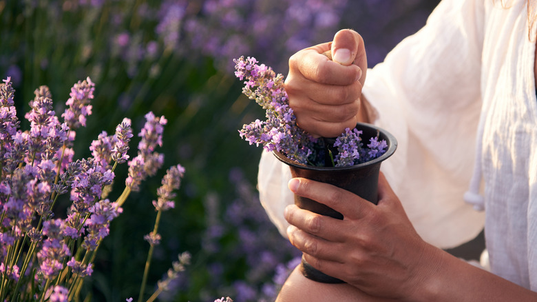 A woman crushes lavender plant cuttings using a mortar and pestle