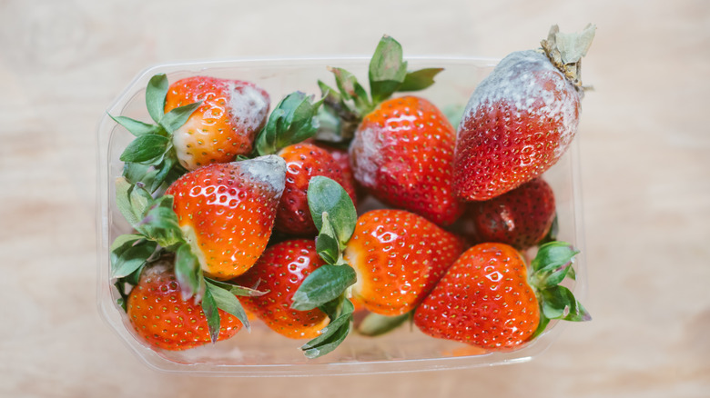 A plastic container of strawberries with mold on them.