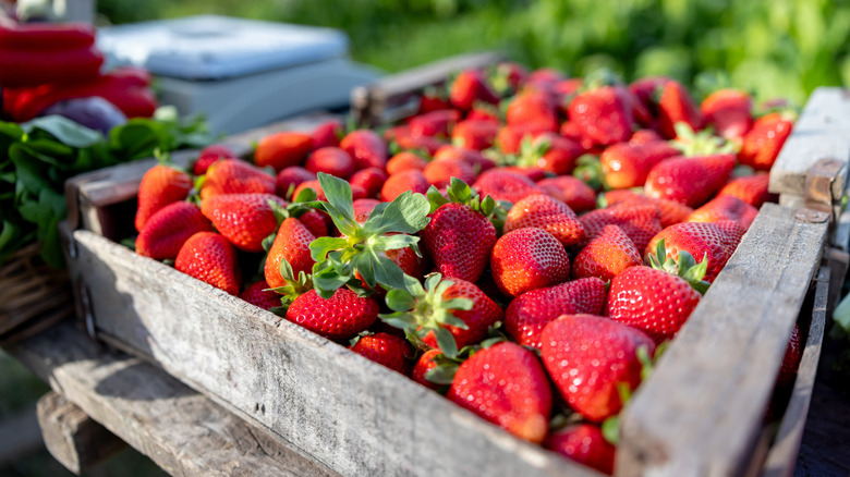 A wooden crate filled with red strawberries.