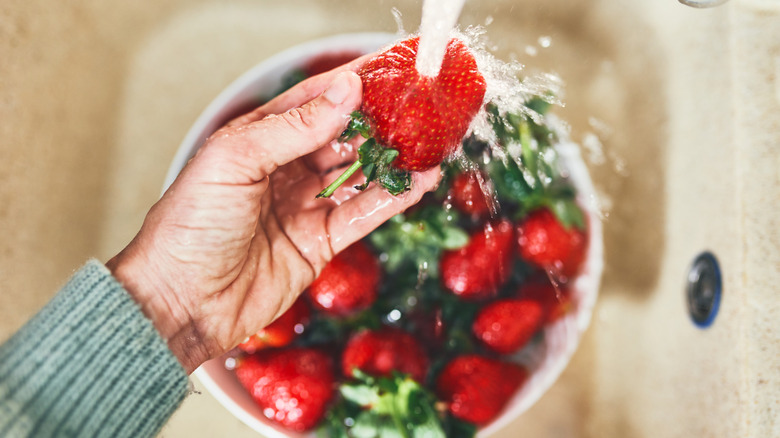 A close up of a hand washing a strawberry with a basket of strawberries in the background.