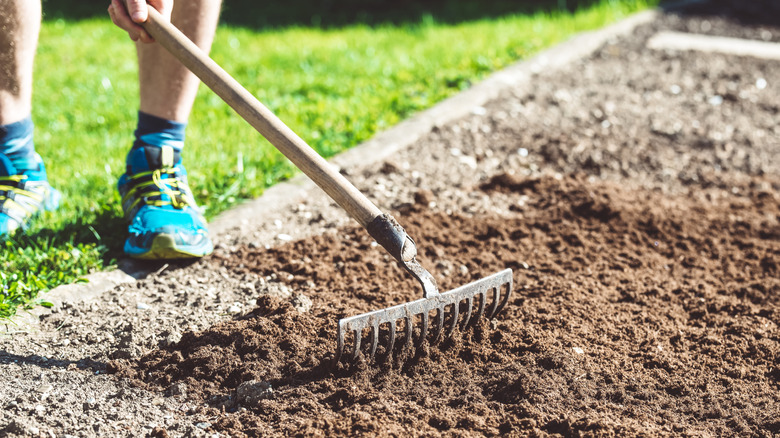 Person using a garden rake to prepare garden bed for planting