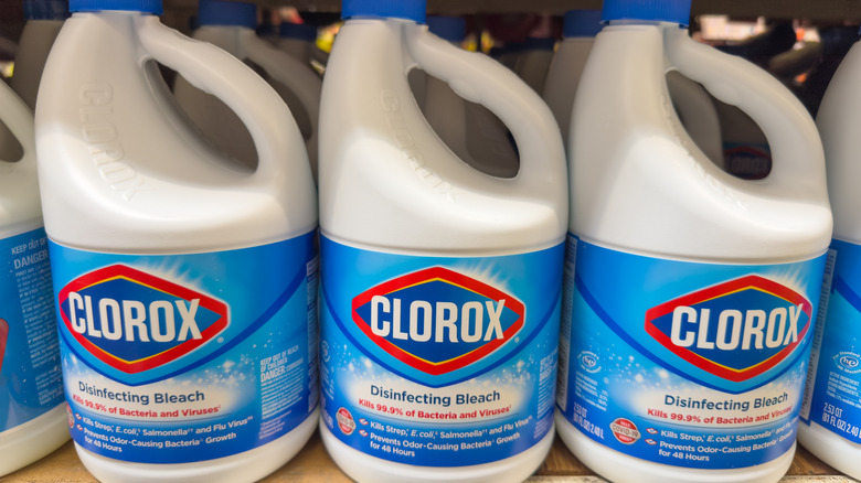 Clorox Bleach bottles lining a grocery store shelf.