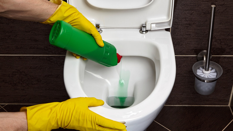 A person squeezes toilet bowl cleaner into a toilet.