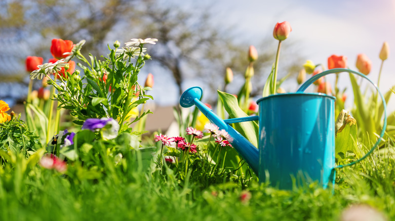 A watering can next to flowers